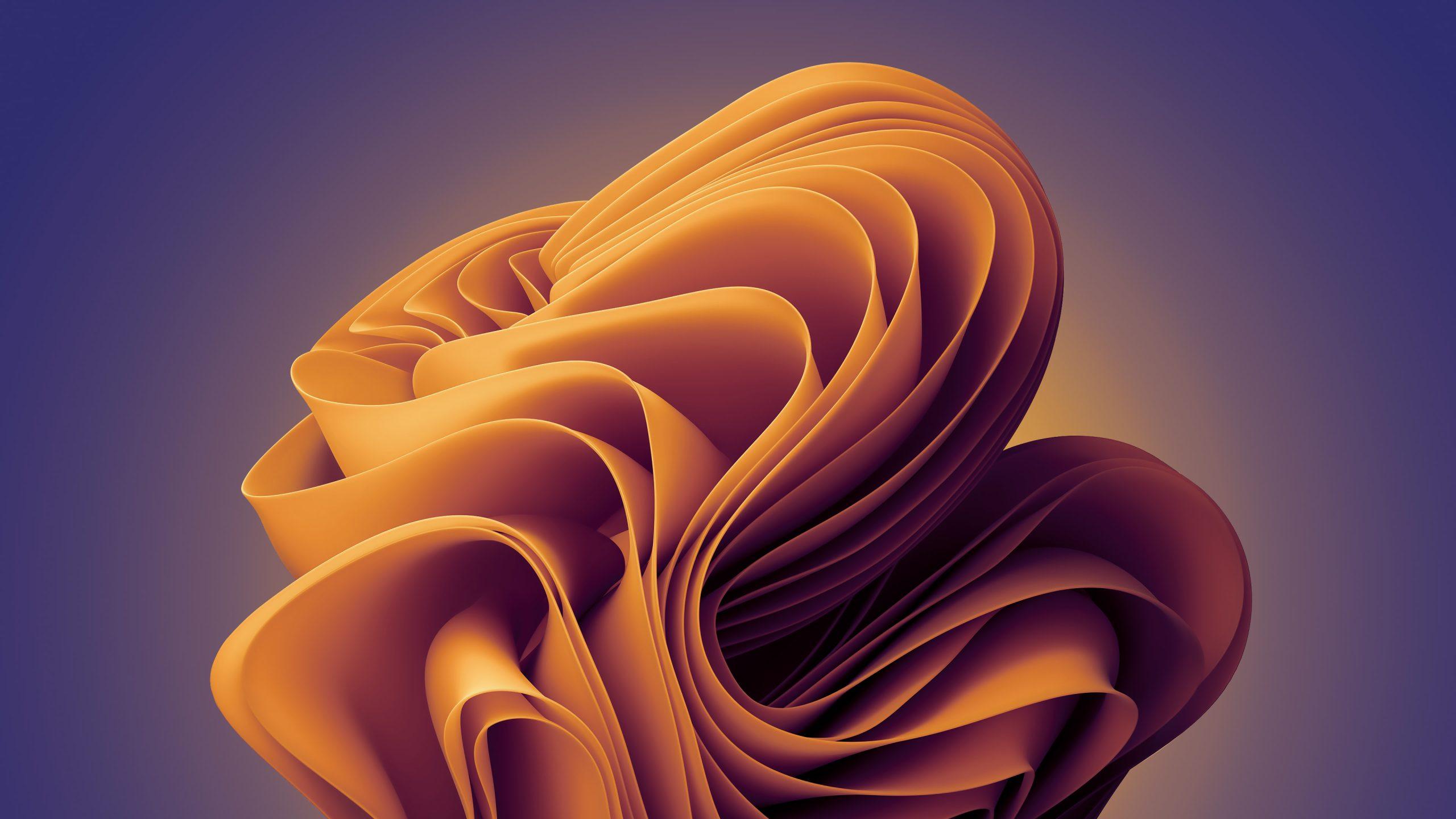 图片[12]-Windows11精美壁纸分享-泉雨博客